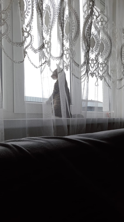 Фото ИнЛайк