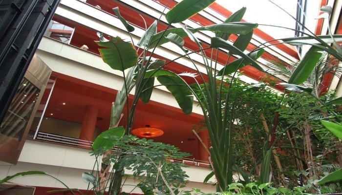 Фото Ribera De Triana