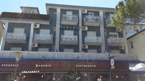 Фото Danubio Hotel