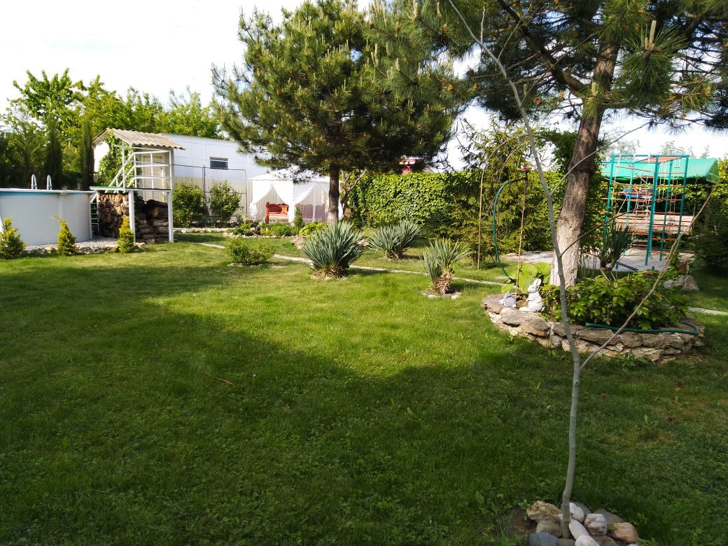 Фото Ивушка