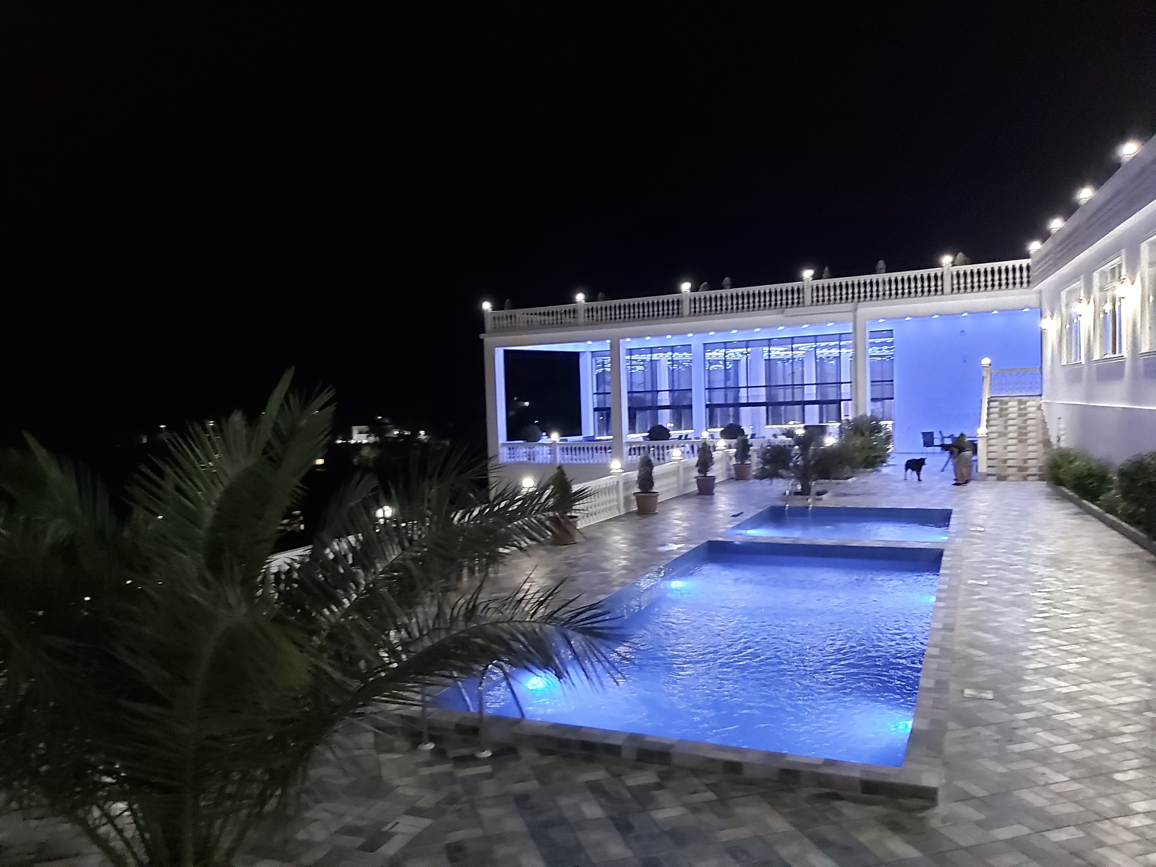 Фото Zura Palace