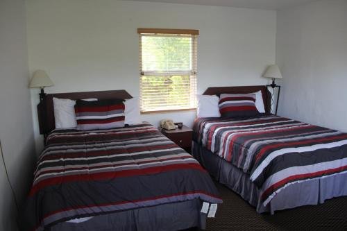 Фото Tamiami Motel