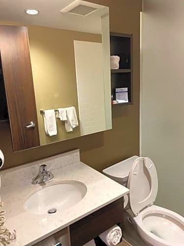 Фото Microtel Inn & Suites by Wyndham Timmins