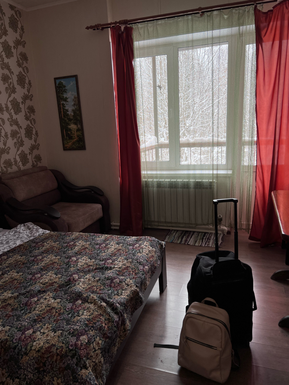 Фото Русский лес