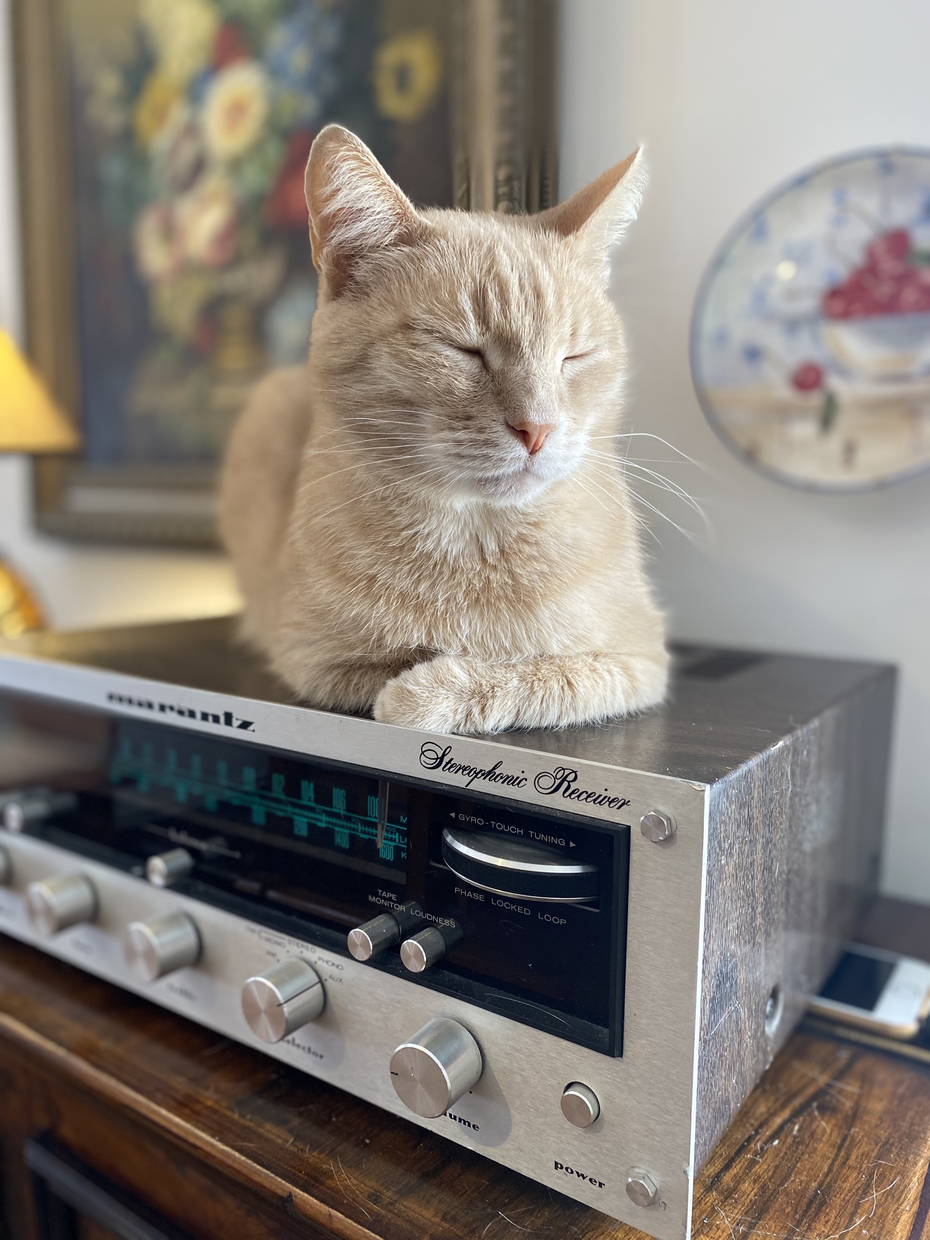 Фото Гостевой дом Суриковых