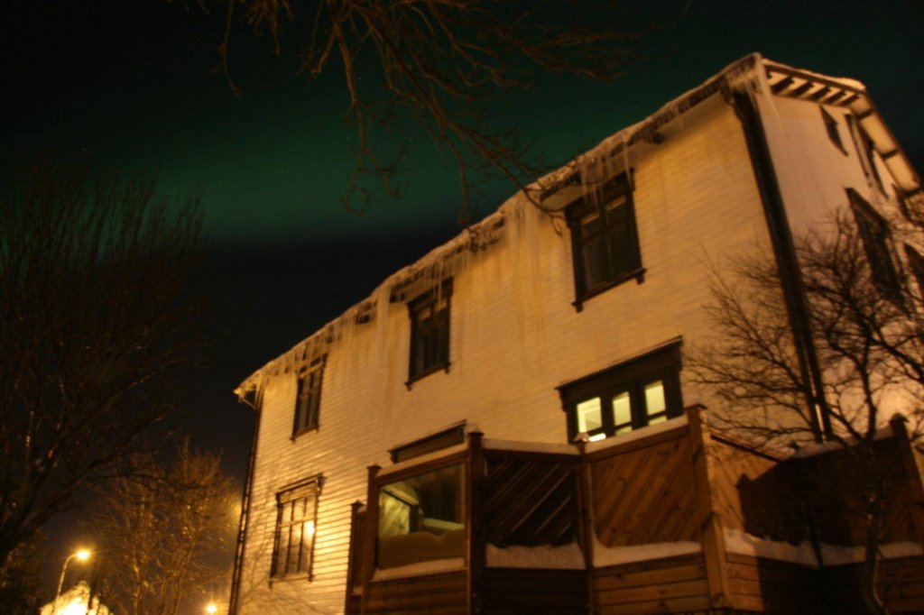 Фото Arbol Guest House