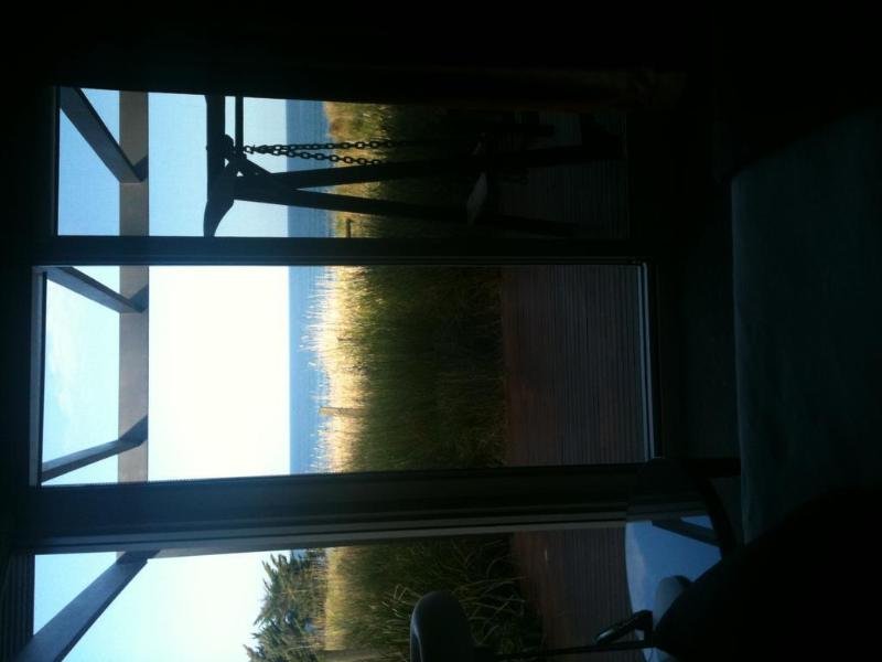 Фото Chocolate Gannets