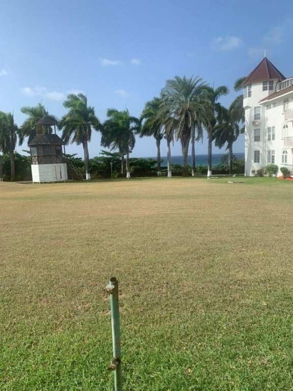 Гостиница Beautiful 1-bed Beach Side Studio in Montego Bay в Монтего-Бей