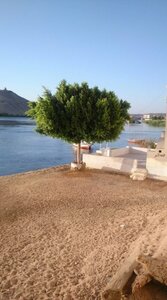 Taharka Nubian House (Aswan Governorate, Aswan) ، فندق