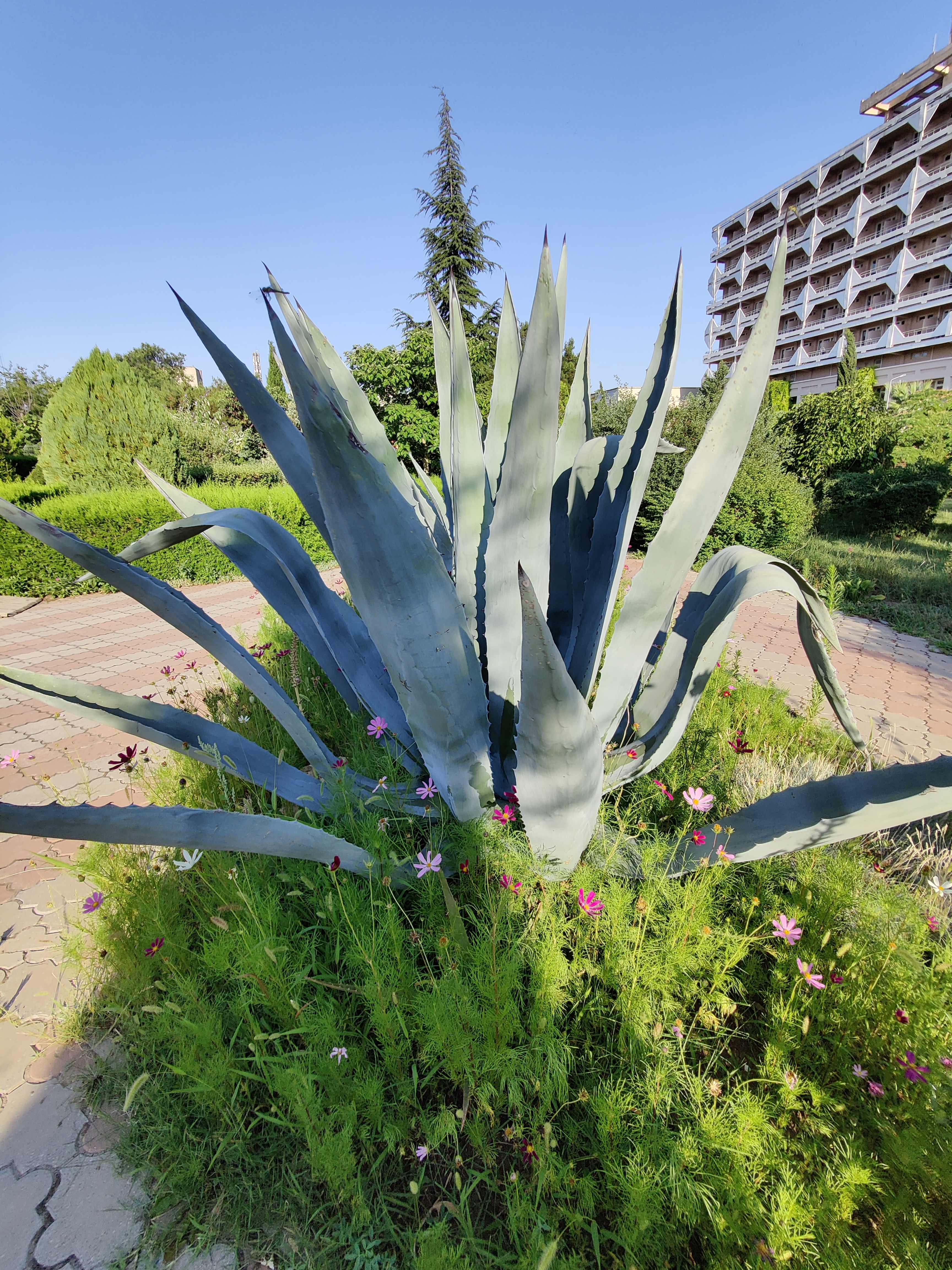 Фото Планета