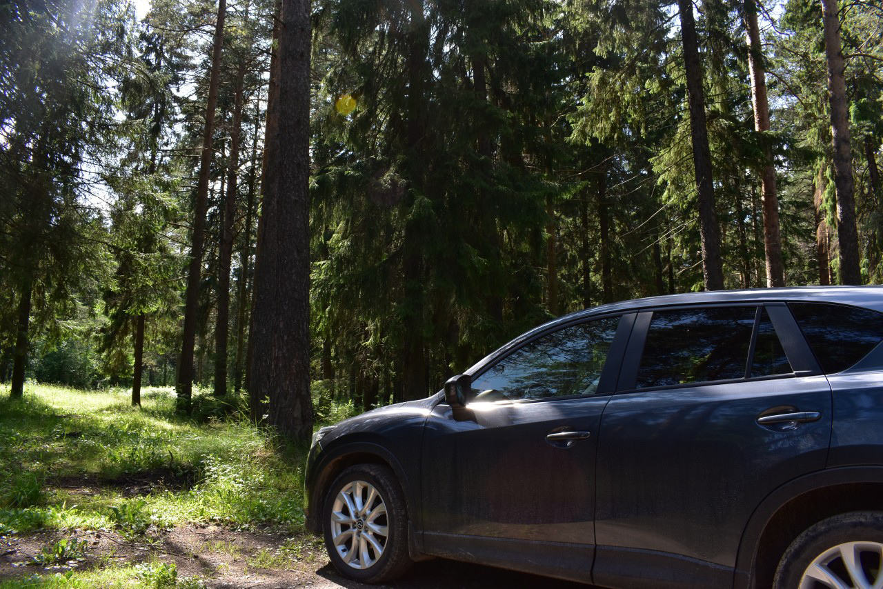 Фото Комплекс Президент