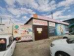 Автосервис (Ippodromnaya ulitsa, 27Е), car service, auto repair