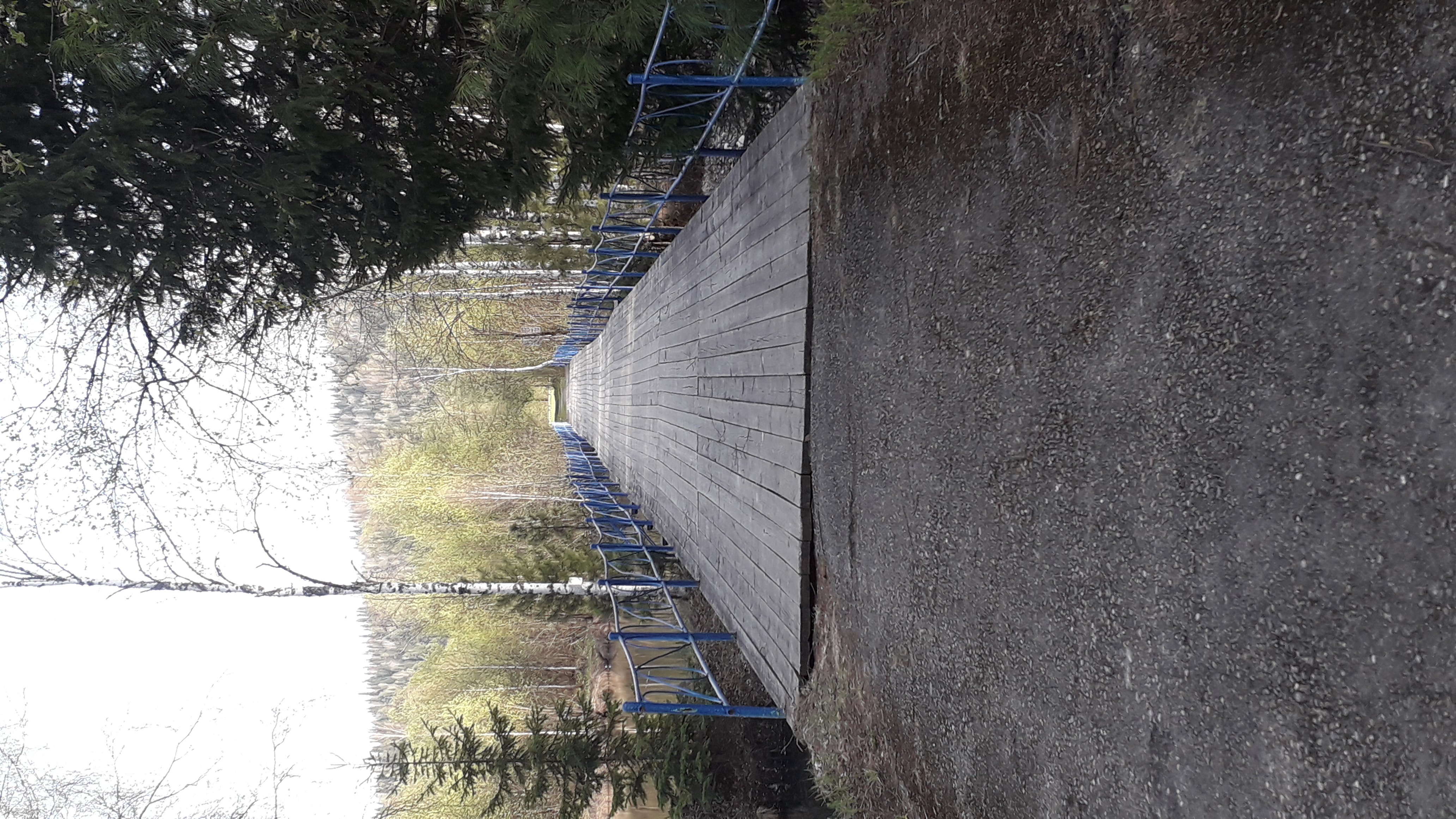 Фото Фантазия