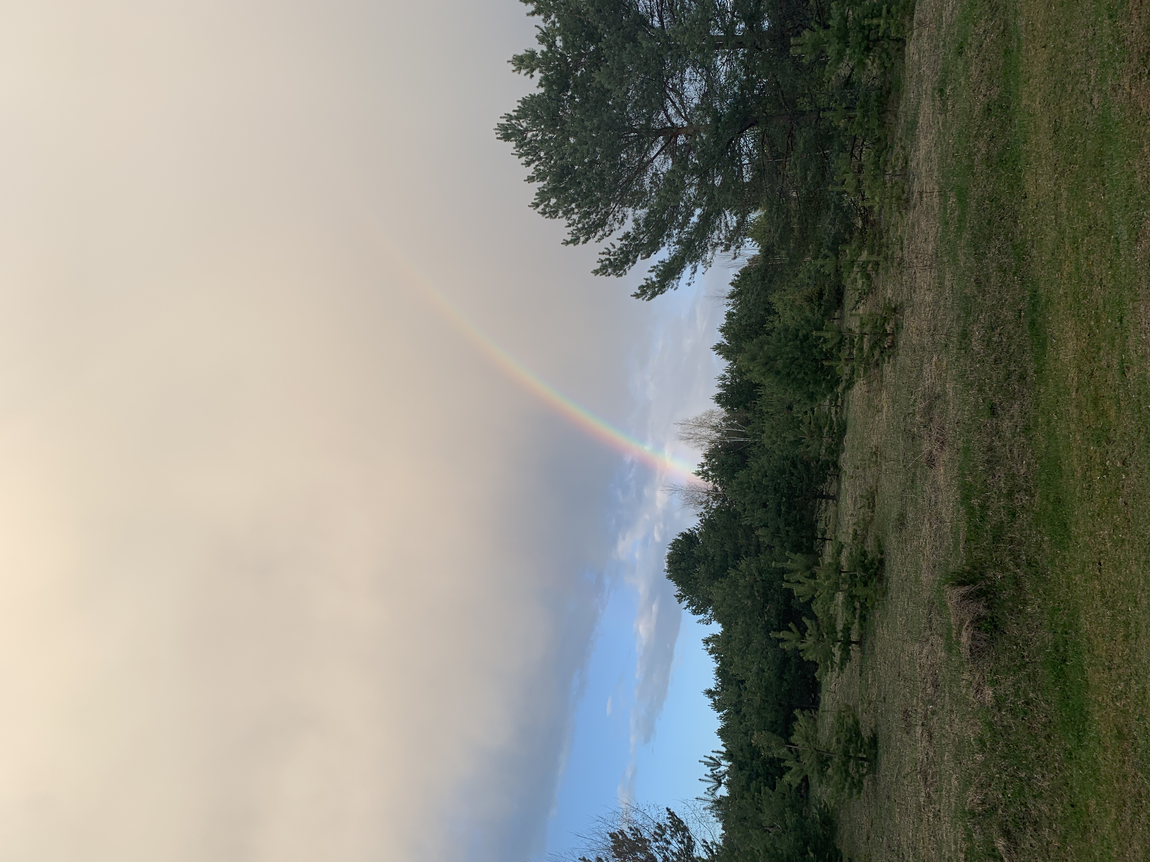 Фото Уникальный дом