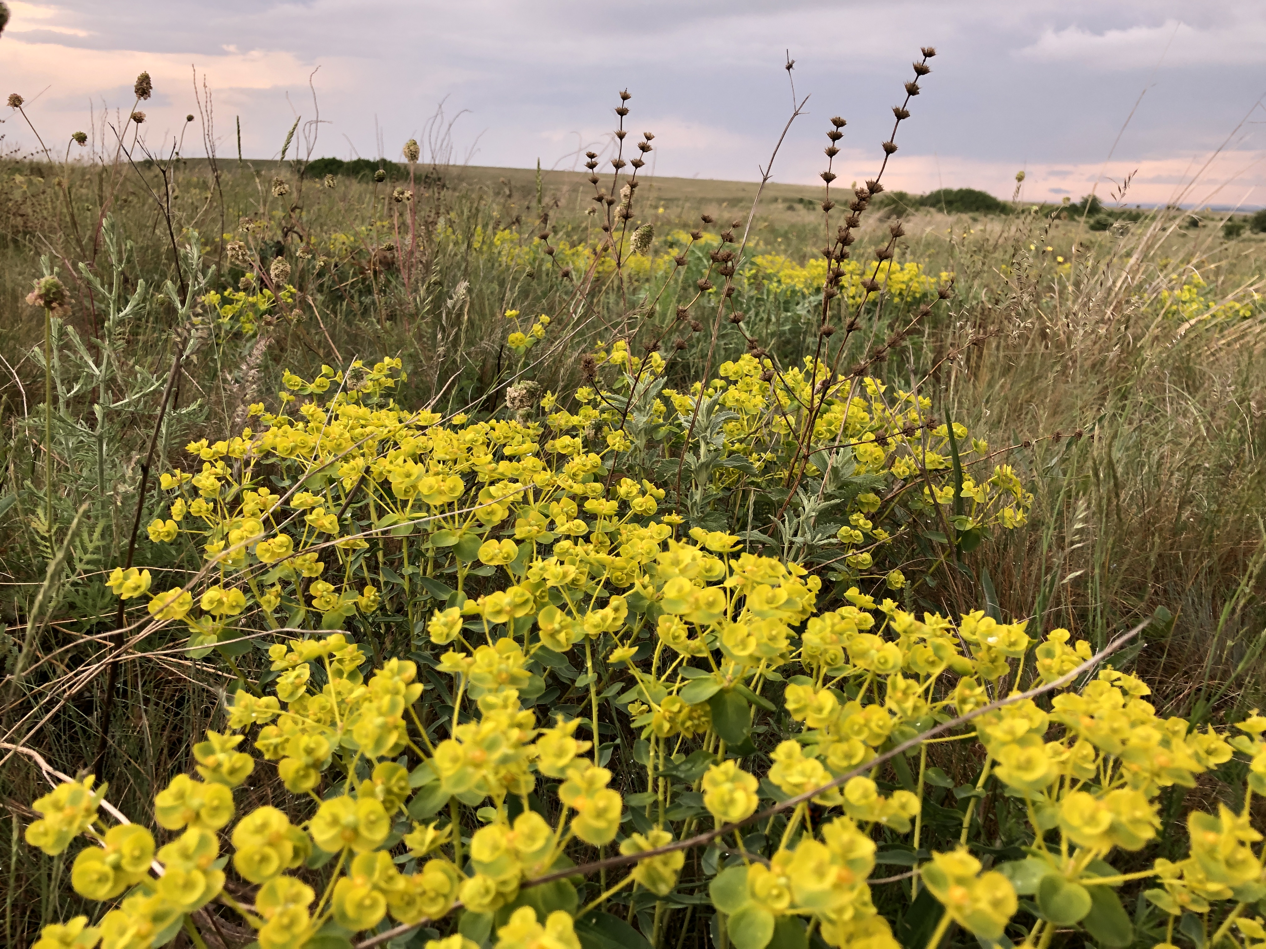 Фото База активного отдыха СВХ