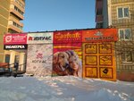 Котопёс (Moskovskiy Avenue, 14), pet shop