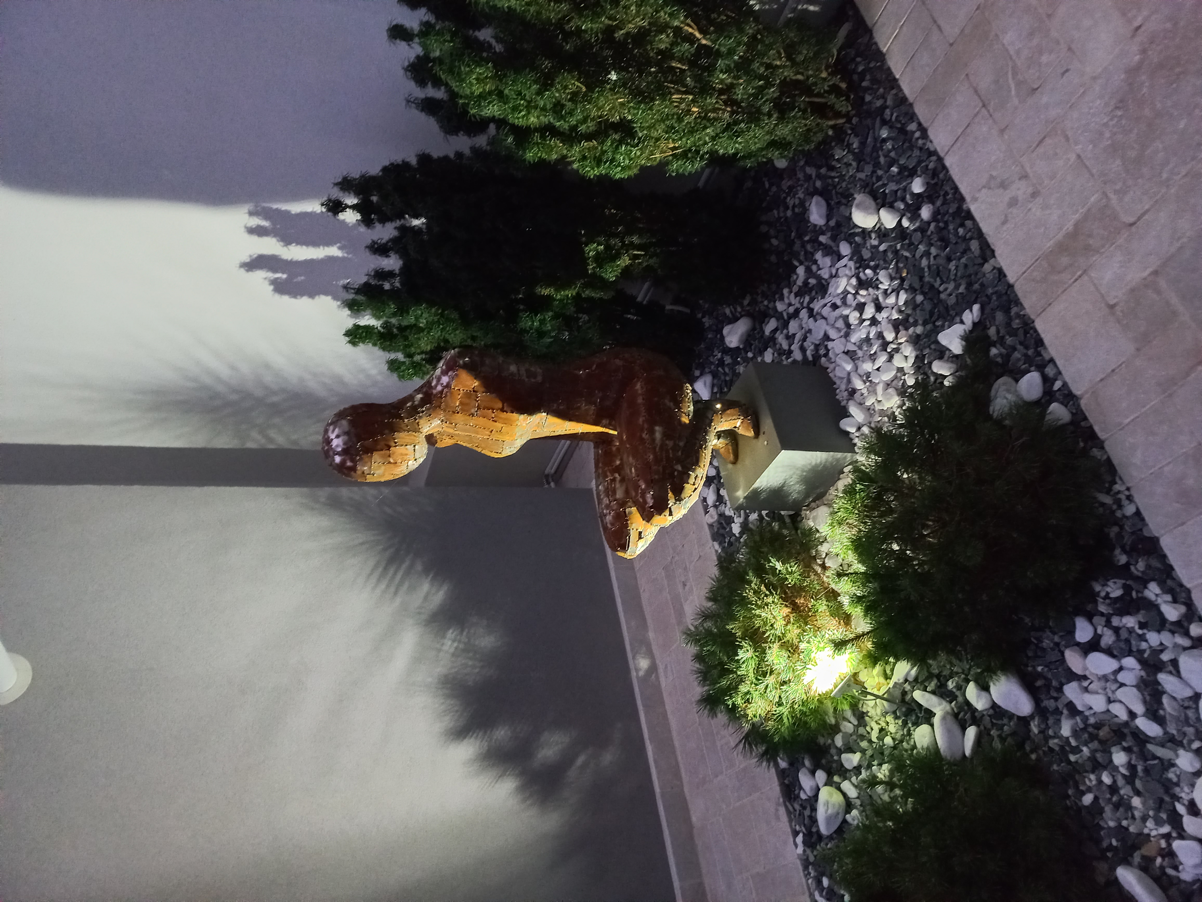 Фото Белая Терраса