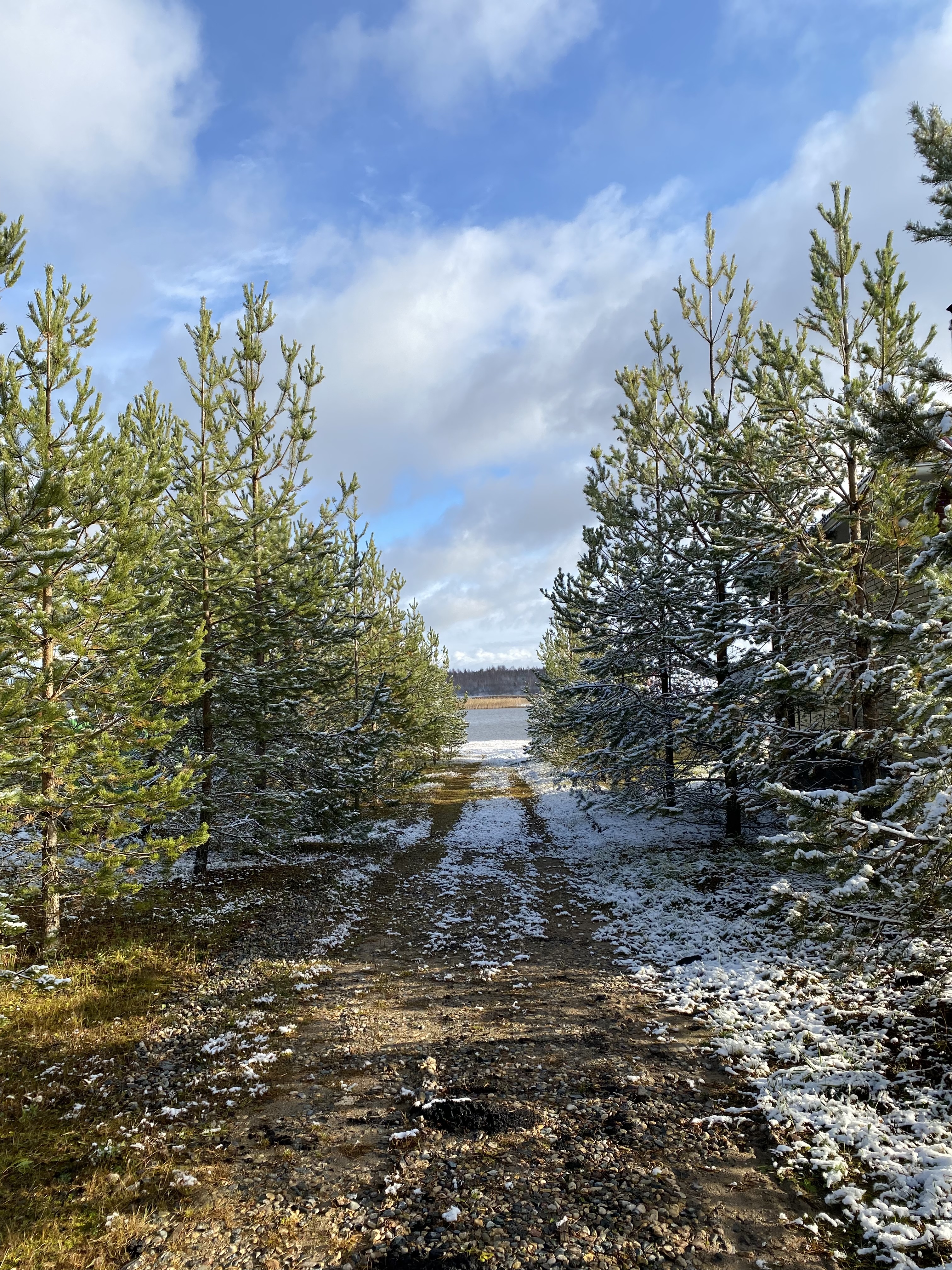 Фото Гостевой дом Поонежье