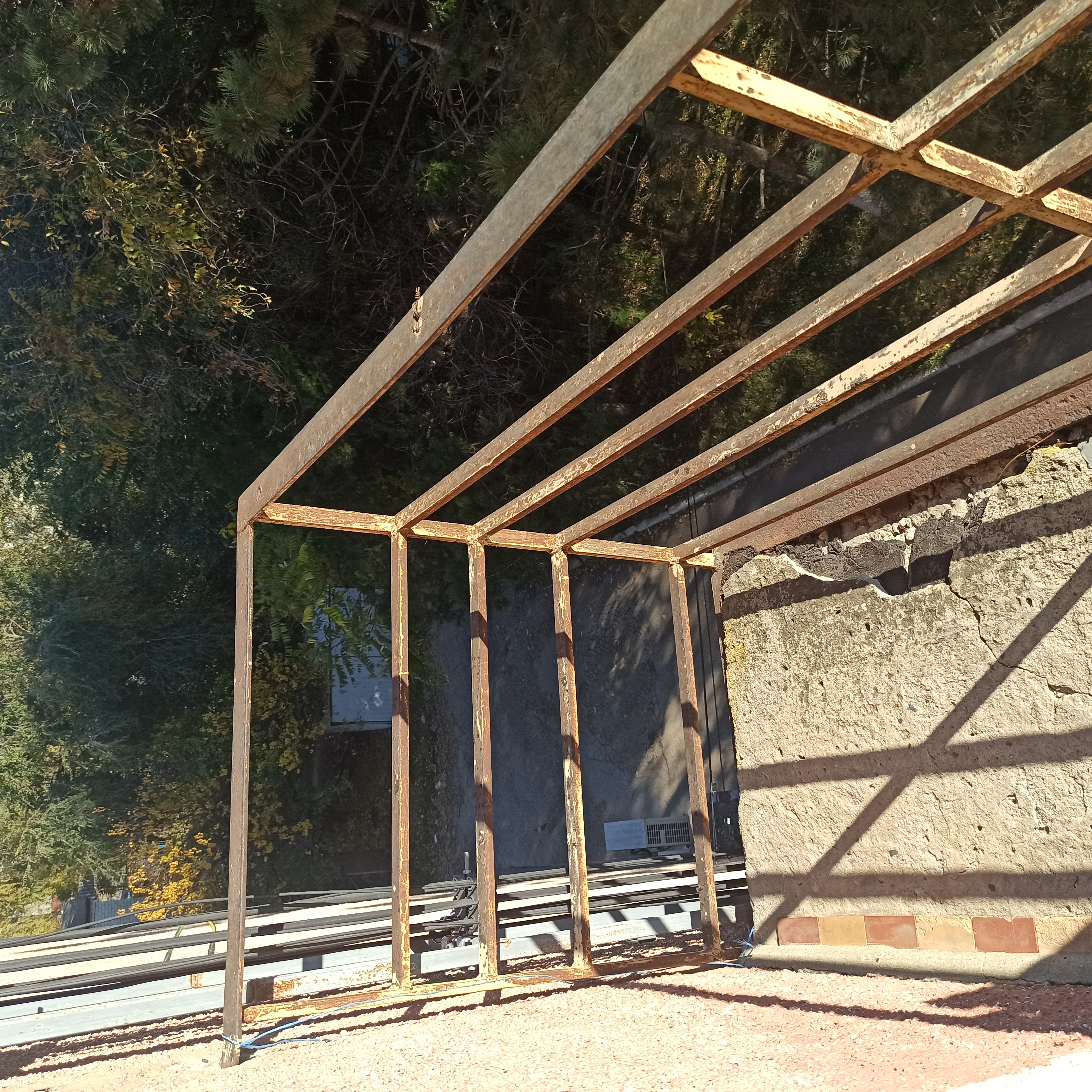 Фото Кубань