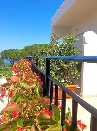 Фото Hotel Victoria Place