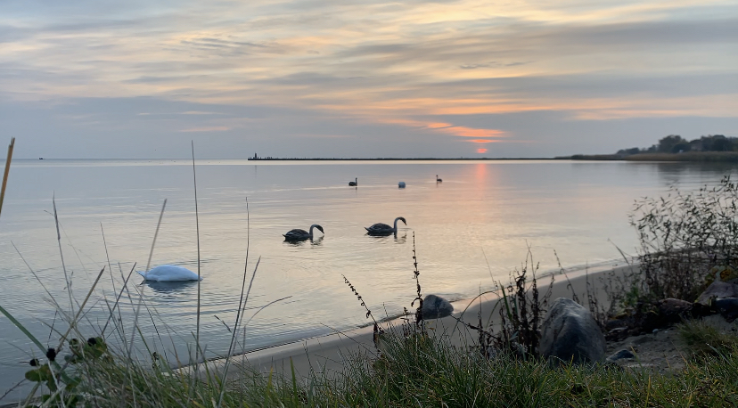 Фото Альтримо