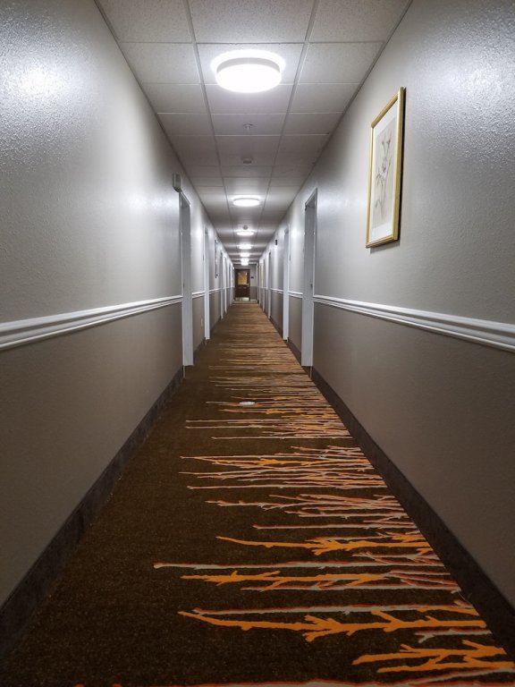 Фото Hawthorn Suites by Wyndham Louisville North