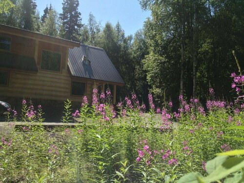 Гостиница Talkeetna Majestic