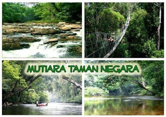 Hotel Mutiara Taman Negara, State of Pahang, photo