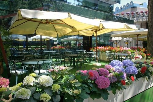 Гостиница Hotel Nadir в Червии