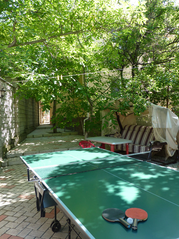 Фото Виноградная лоза