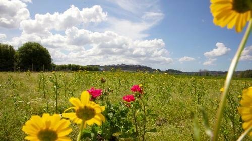 Hotel Ideas Peregrinas, Galicia, photo