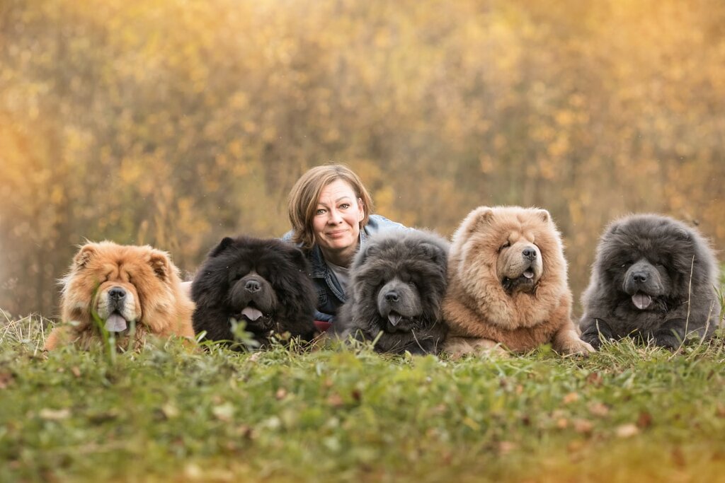 Salón de mascota, peluquería de animales Groomer Tomashevskaya Anna, , foto