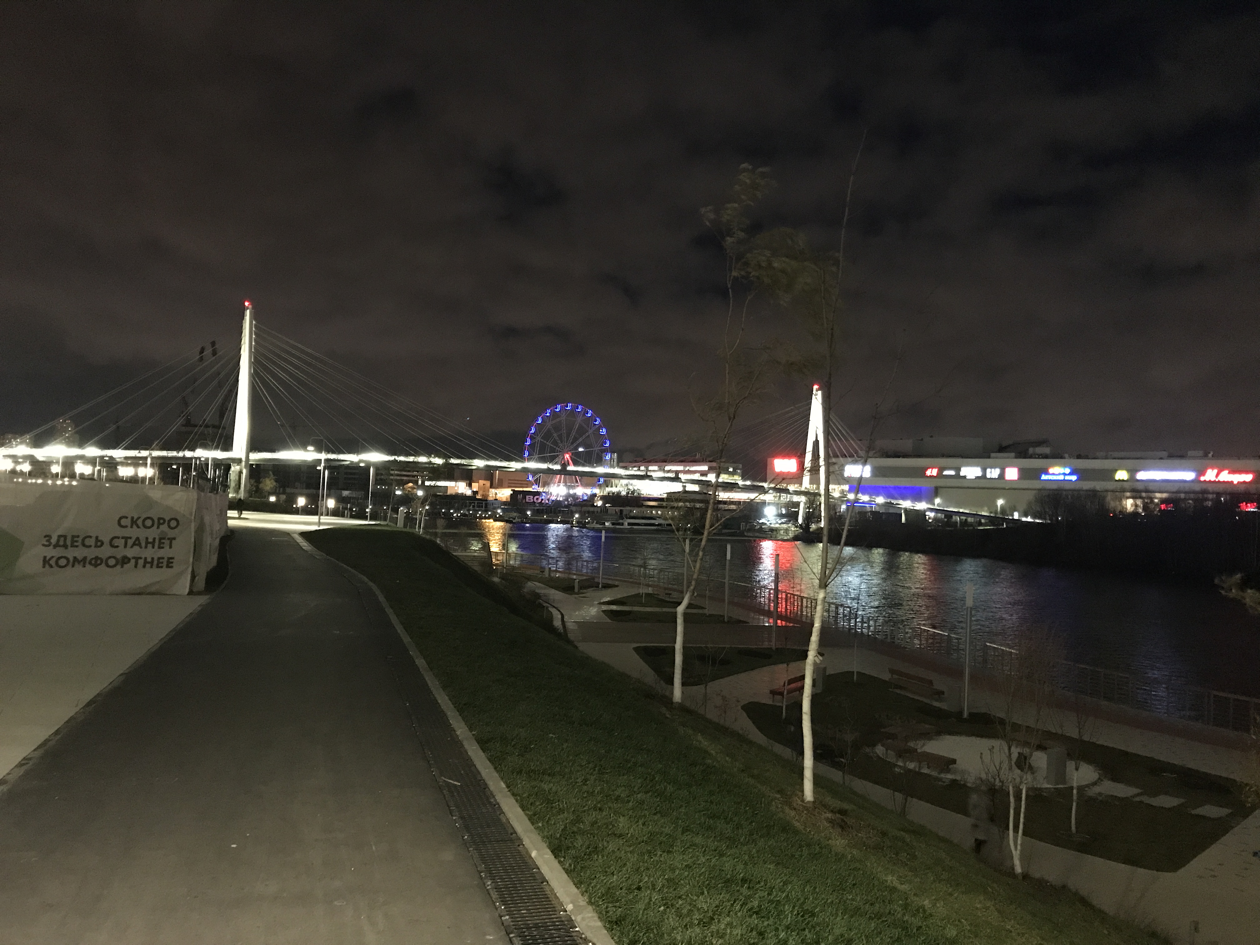 Фото Crocus Star