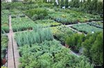 Питомник 57 (derevnya Obraztsovo, Yuzhnaya ulitsa, 26), plant nursery