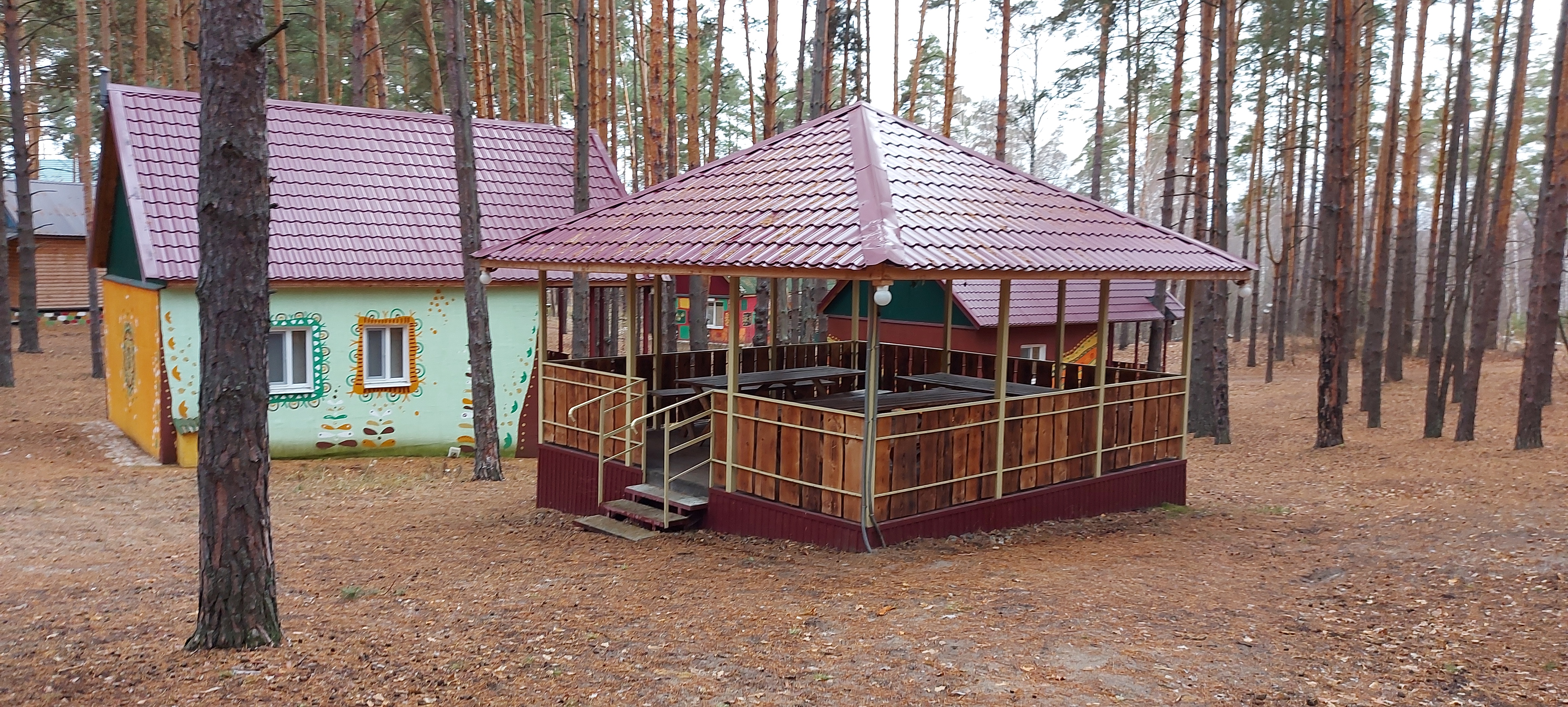 Фото Лесная дача