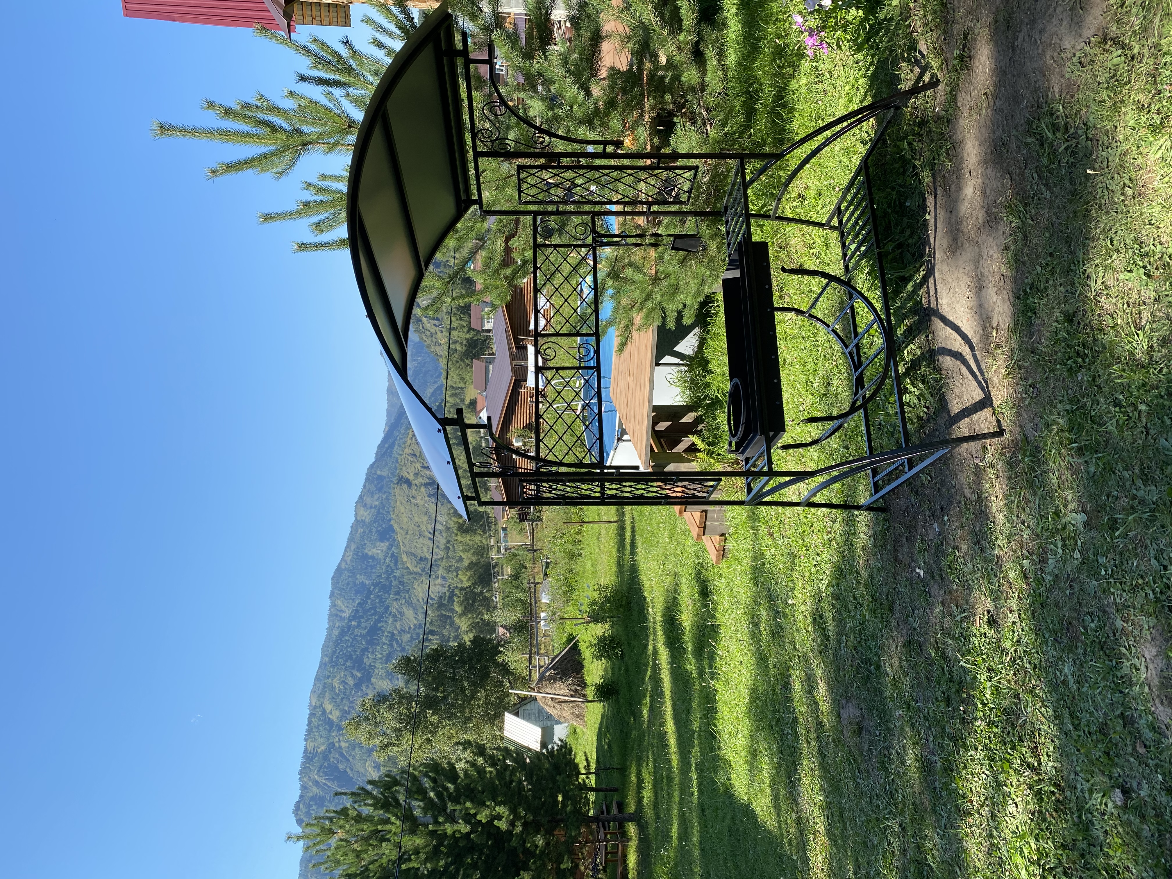 Фото Шишкин лес