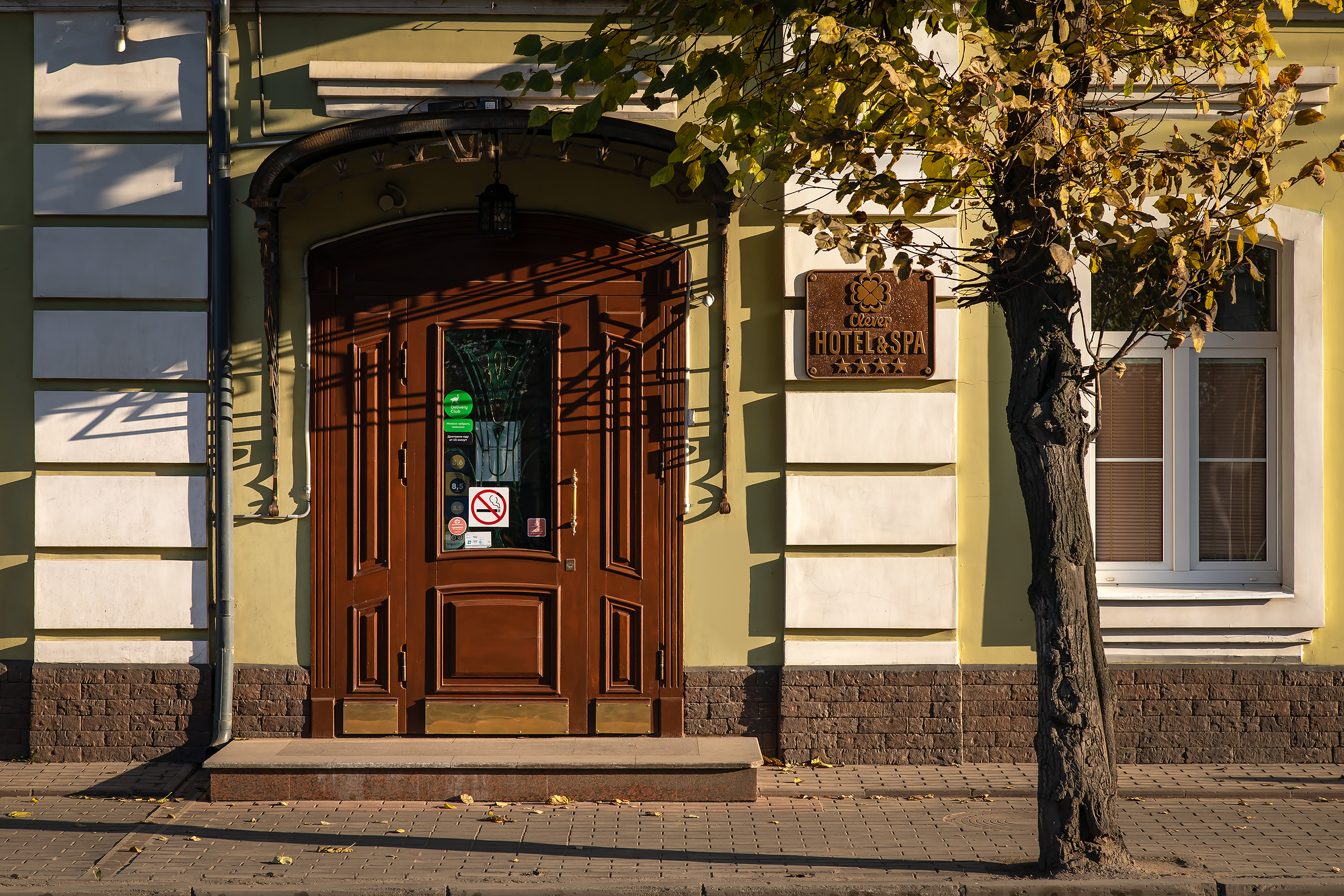 Фото Клевер