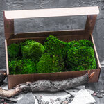 Mossopt.ru (Obukhovskoy Oborony Avenue, 116к1Е), flower shop