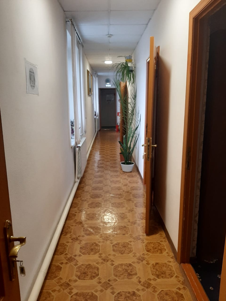 Фото Золушка