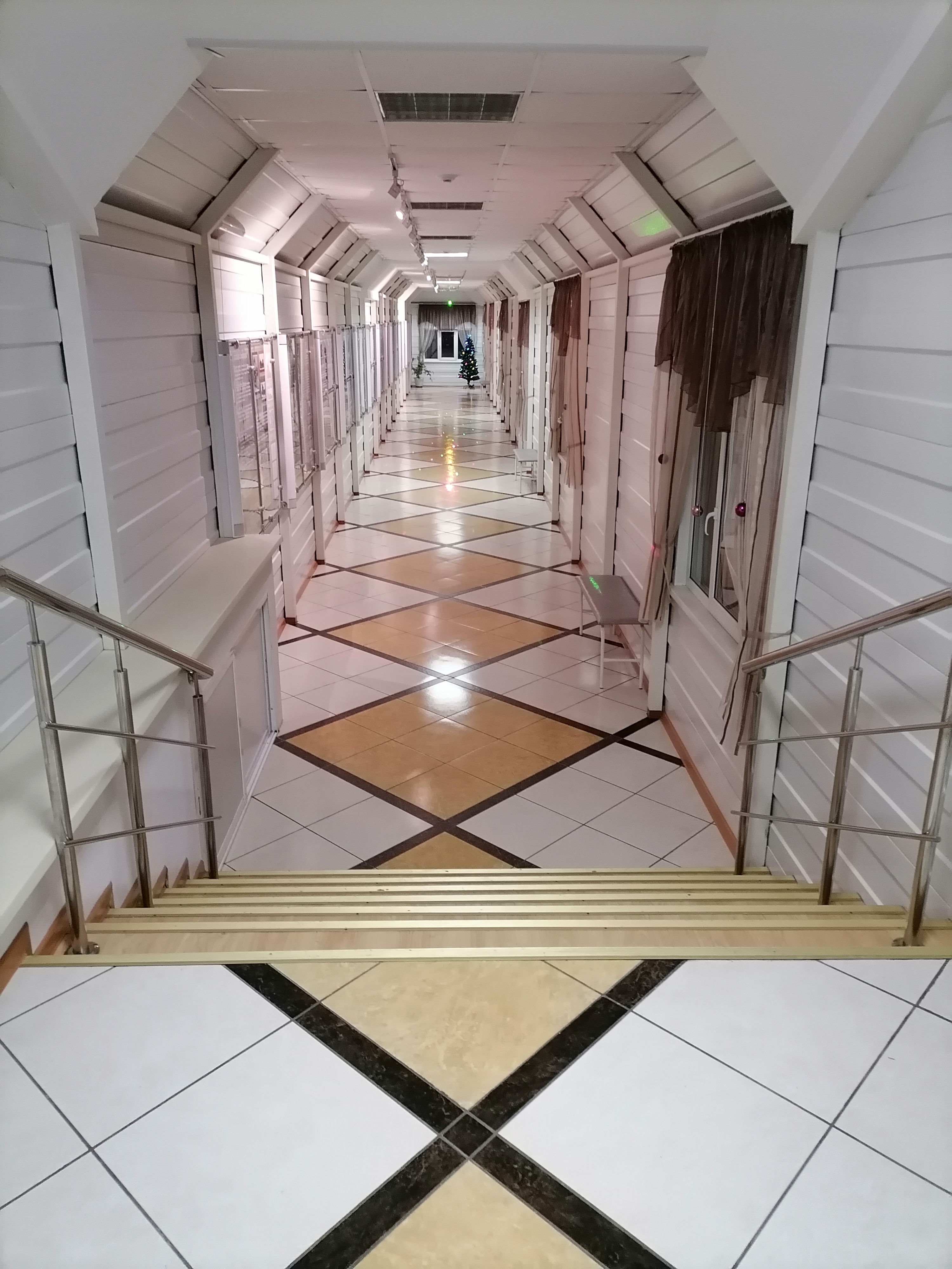 Фото Сосновый бор