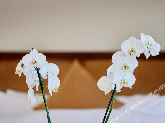 Фото Hotel Eden Spiez