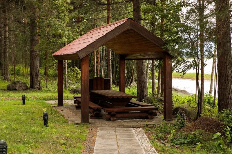 Фото Cosmos Karelia