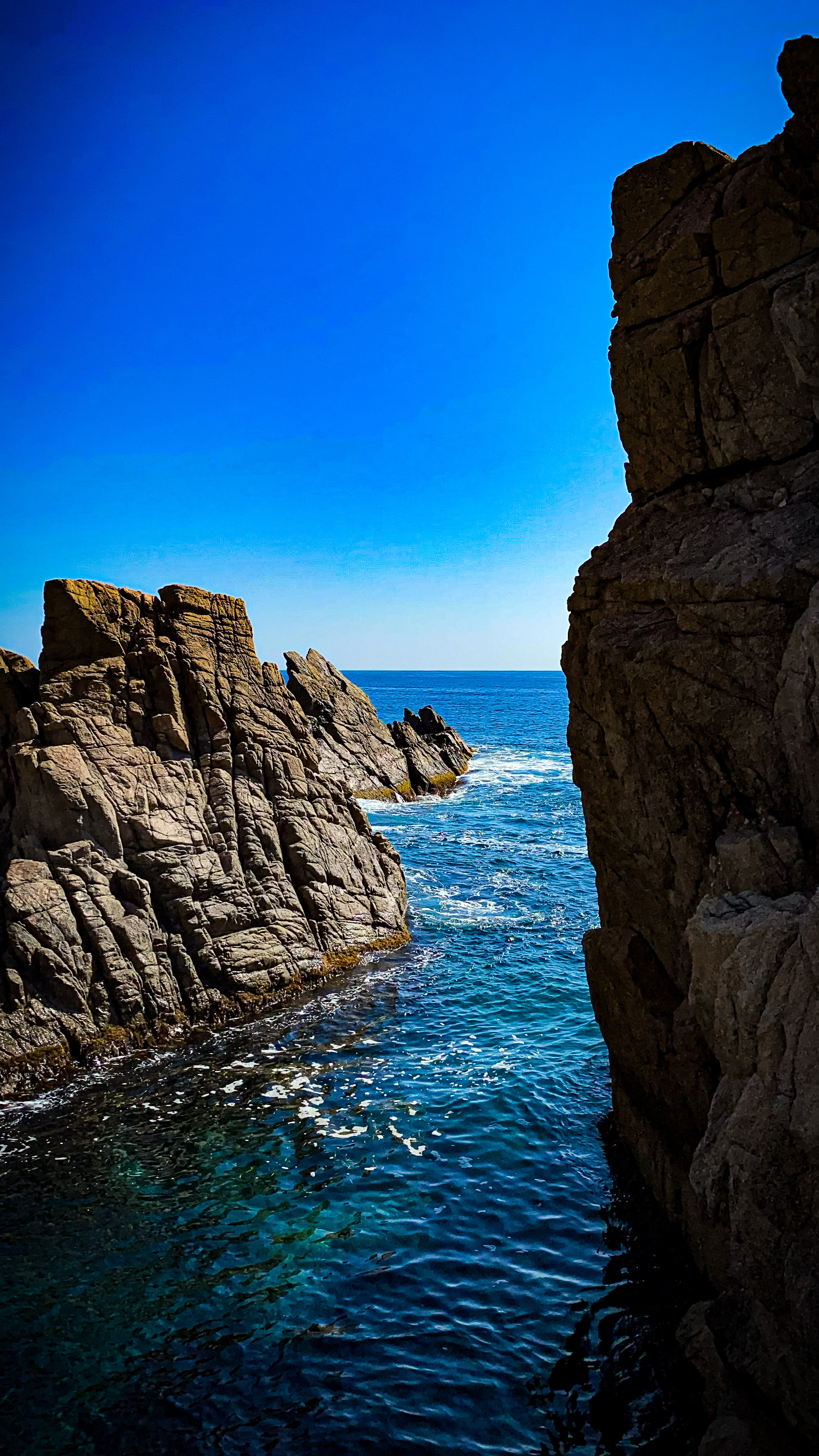 Фото Чинтамани