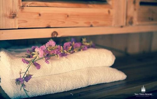 Фото Tall Trees Resort by OpenSky