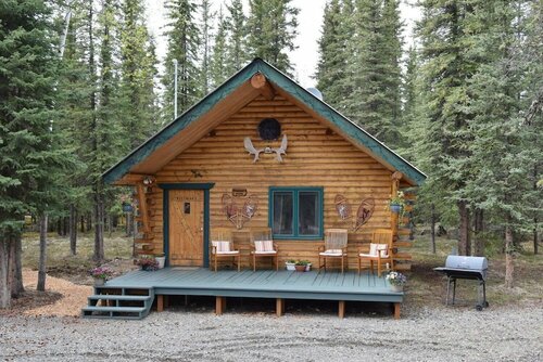 Гостиница Fox 'n Fireweed Cabins в Токе