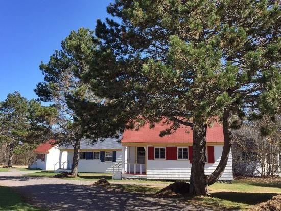 Фото Green Gables Bungalow Court