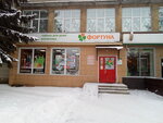 Fortuna (Kamenka, Kommunisticheskaya ulitsa, 1), perfume and cosmetics shop