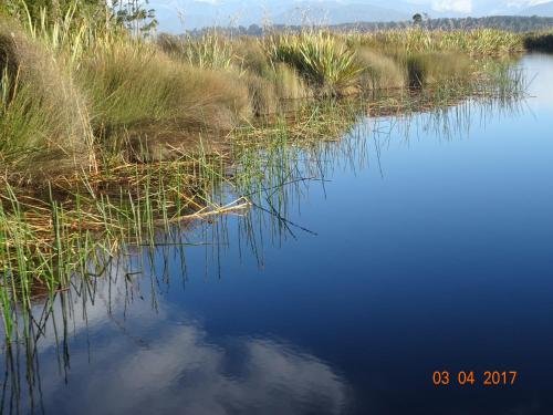 Фото Blue Spur Bed And Breakfast