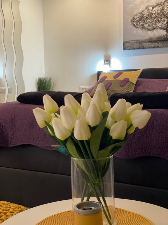 Фото Apartments Noa Old Town