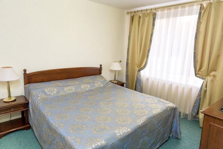 Фото Лебедь